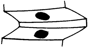 FX݆͜(zhn)pX݆g(sh)Zӹ݆X|zԇ(yn)