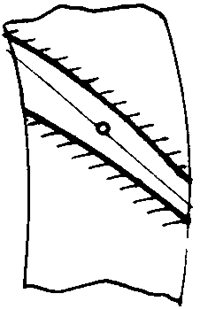 FX݆͜pX݆g(sh)ZOӋӋc{(dio)Ӌ
