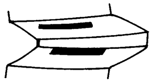 FX݆͜(zhn)pX݆g(sh)Zӹ݆X|zԇ(yn)